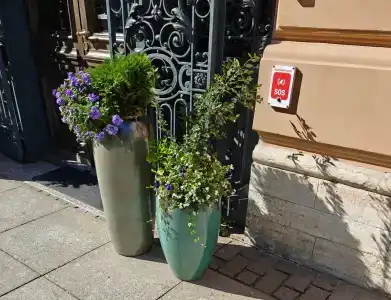 Cosmos Selection Saint-Petersburg Italyanskaya - 79