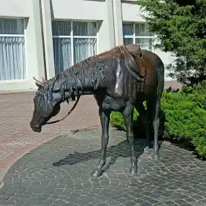 Горизонт - 31
