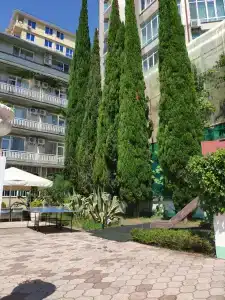 Odeon Guest House - 35