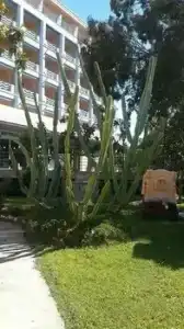 Grand Kaptan - Ultra All Inclusive - 44