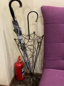 Piter by ACADEMIA - 54