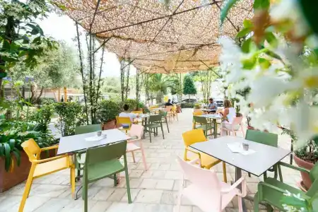 Harmonia by Dukley - 75