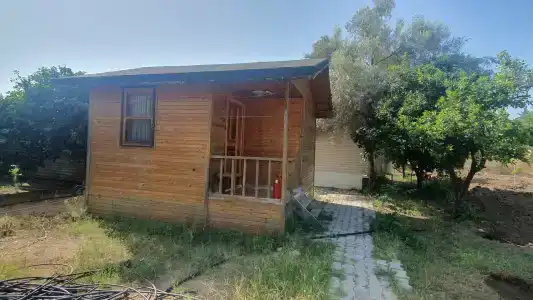 Elamir Felizya - 14