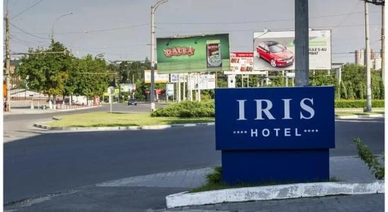 Iris - 3