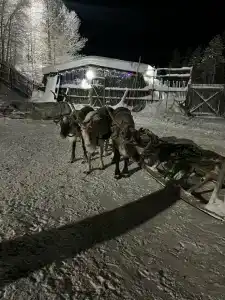 база отдыха Огни Имандры - 83