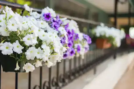 Asdem Park Otel - 90