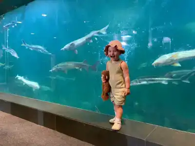 Caspian Riviera Grand Palace - 13