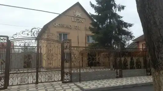 Lion Almaty - 35
