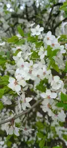 Villa Tat'yana Na Verhneozyornoj - 17