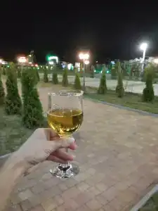 Zelenyy dvor - 28