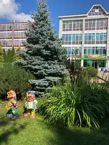 Sanatorium Bakirovo - 94