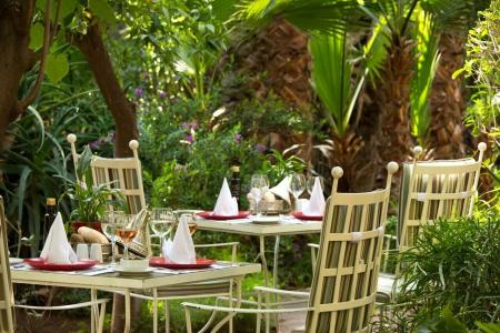 Les Jardins De La Médina - 77