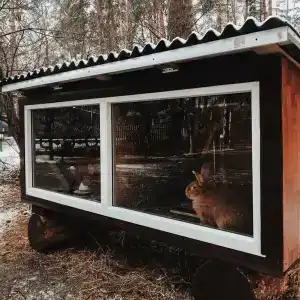 Парк-Лесные дали - 12