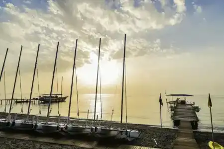 Robinson Camyuva - Adults Only - 34