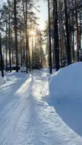 Razdole, ofis - 84