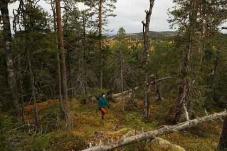 Break Sokos Vuokatti - 67