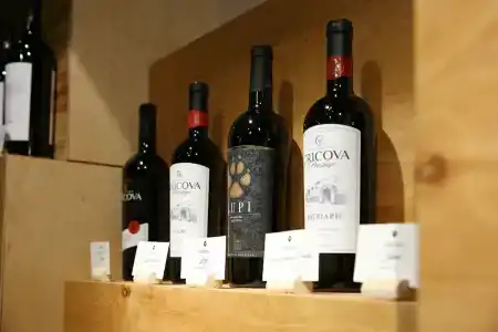 Wine - 34