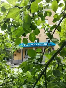 Державный - 20
