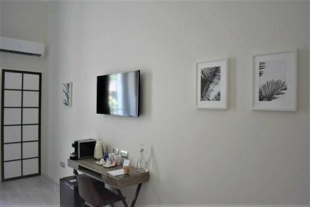 Gatto Bianco Duchessa - 47