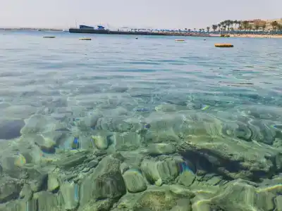 Beach Albatros Resort - 24