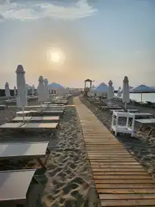 Gold Island Selected - 3