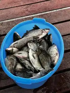 Tihiy Prichal Tourist base - 39