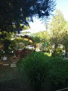 Sibiryachka - 66