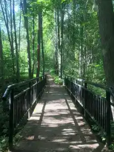 Mitino Health Resort - 67