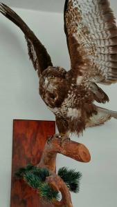 Usadba Meshcherskaya Park-Hotel - 47