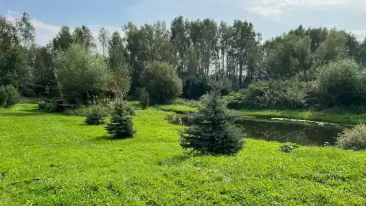 Eko S Russkoy Baney Medvezhye Urochische Private House - 7