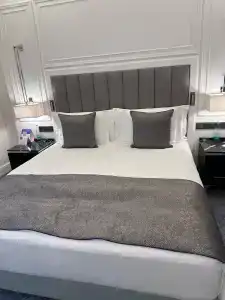 Cosmos Selection Saint-Petersburg Italyanskaya - 80