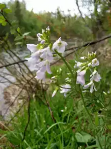 Ethno-Usadba Tourist base - 42