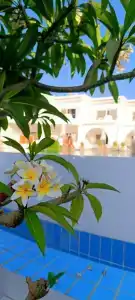 Iberotel Palace - Adults Only 16+ - 38