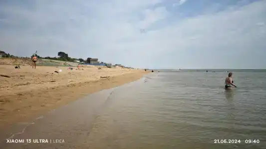 Атлант Экзотик - 23