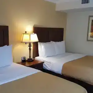 Coconut Cove All-Suite - 33