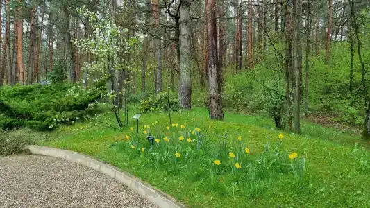 Кронон Парк - 89