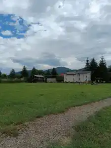 Snezhnyy Bars - 76