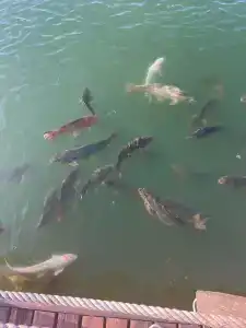 Suenos Golf Belek - 38