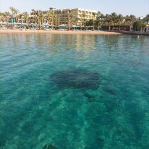 MinaMark Beach Resort for Families and Couples Only - 48