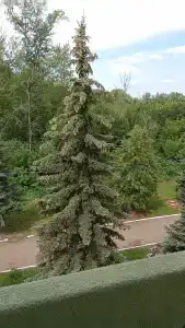Sanatoriy-Profilaktory Olkhovka - 39