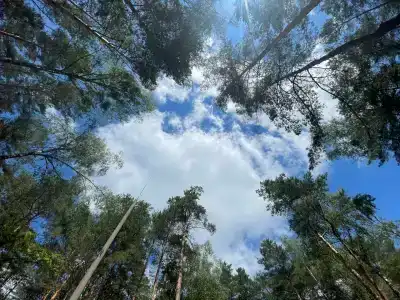 Recreation center Himik - 21