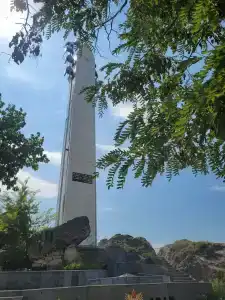 Белые журавли - 74