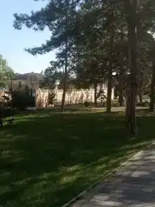 Санаторий Янтарь - 25