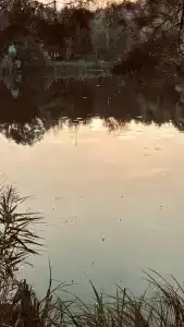 Sanatorium Praleska - 69