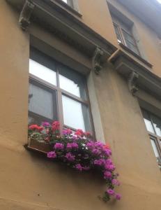 Трезини Арт-отель - 57