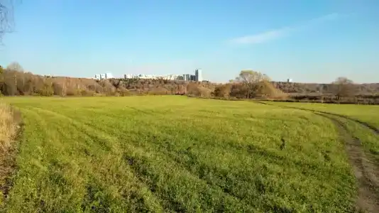 Health Resort Signal - 47