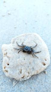 Takamaka Green Village - 35