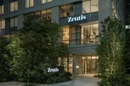 Zentis - 64