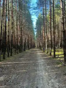 Азимут Кострома - 34