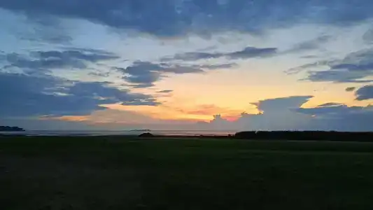 Chernichnyi Bereg - 4